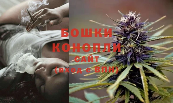 apvp Аркадак