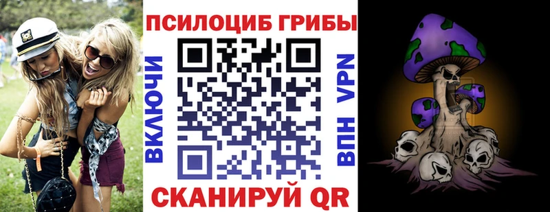 Псилоцибиновые грибы Psilocybine cubensis  Сухой Лог 